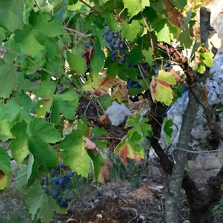 Marijeta, 2a, Trilj Casa di campagna