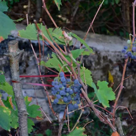 Marijeta, 2a, Trilj Séjour à la campagne Grab