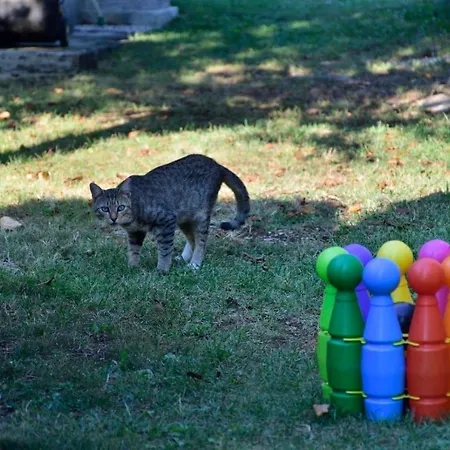 Marijeta, 2a, Trilj Séjour à la campagne *